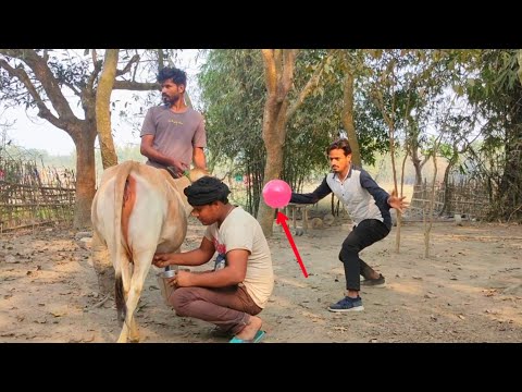 Non-stop Comedy Video 2021 Try To Not Laugh 😂 || By Bindas Fun Masti