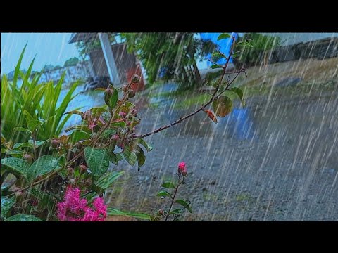 Rain sounds for sleeping cozy 🌧️ Sleep fast in minutes - Relaxing rain sounds - ASMR rain sounds