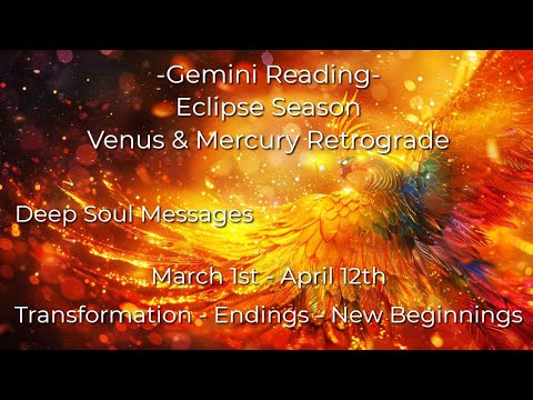 ♊️Gemini | This Is Your Magic Moment!  It Begins Now!