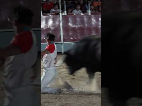 😱 ¿QUÉ ESTÁ HACIENDO ESTE RECORTADOR? ¡MOVIMIENTO IMPOSIBLE!  #toros #2025 #bull #toroultra