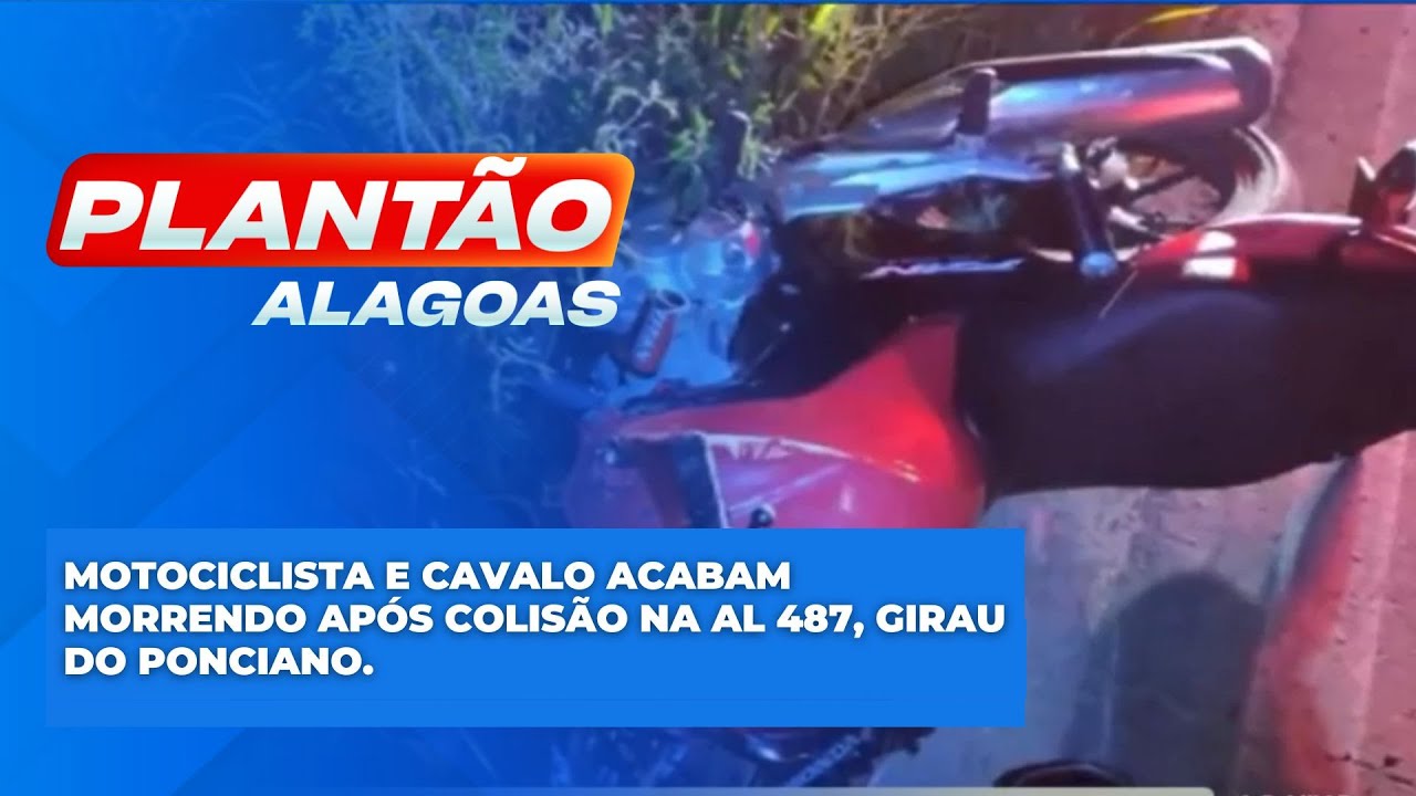     0:21 / 2:54   Motociclista e cavalo acabam morrendo ap&oacute;s colis&atilde;o na AL 487, Girau do Ponciano.