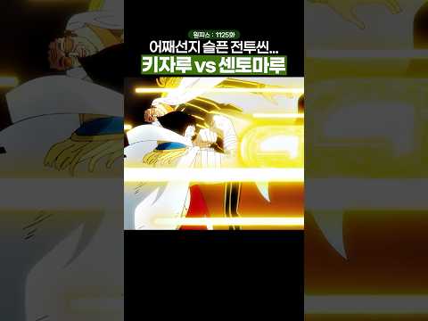 🔥미친 작화🔥어째선지 슬퍼보이는 두 남자의 전투씬… #원피스