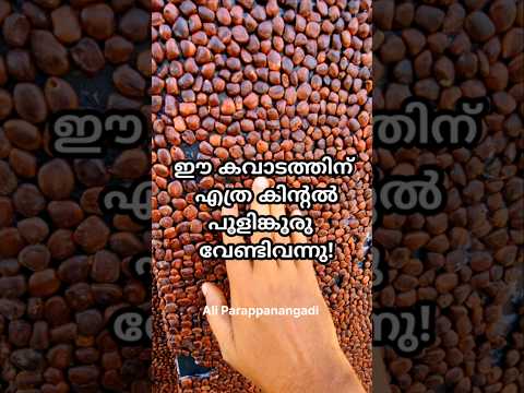 ഈ നബിദിന കവാടത്തിന് എത്ര കിന്റൽ പുളിങ്കുരു വേണ്ടി വന്നെന്നറിയാമോ #short #viralvideo #nabidinaprogram