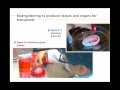 Human Body Systems and Functions