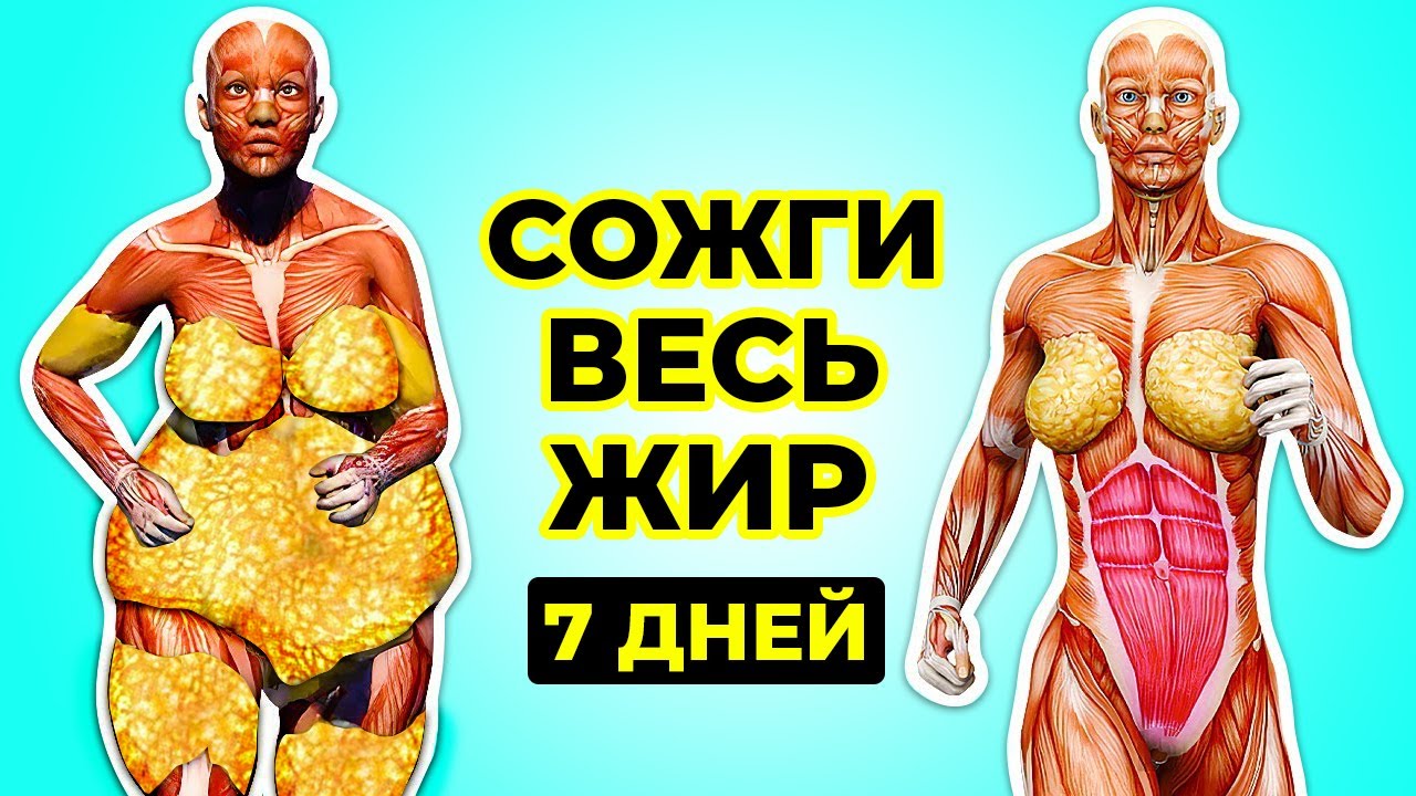 Несколько занятий и жир с вашего тела уйдет без следа