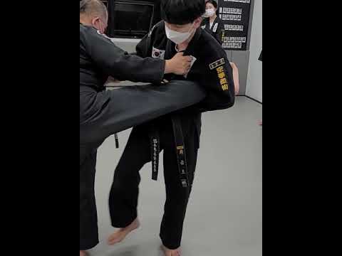발차기 잡았더니 팔이 부러지네.. #shorts