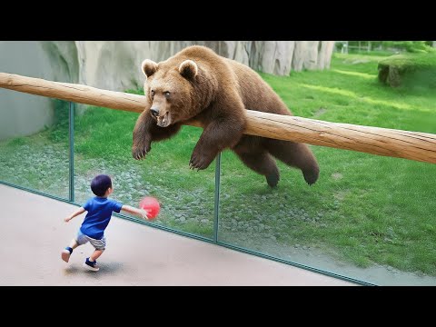 he messed with BEAR, then..