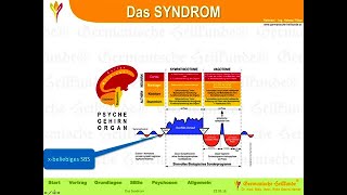 Syndrom / HelmutPilharGHk