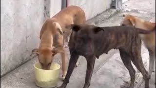 Confirmed nkaanak na nga si fiona at kailangang makita ntin sila