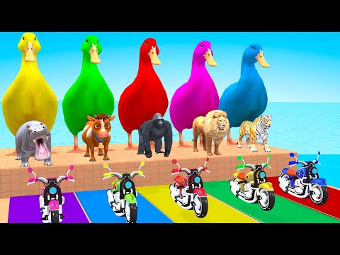 Best Long Slide Game With Cow Elephant Gorilla Hippopotamus Tiger 3d Animal Game Funny 3d Animals