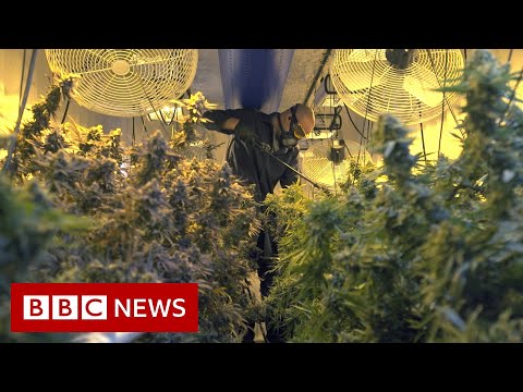 YouTube video thumbnail: Cannabis Boom: Why Oklahoma Is a 'Wild Wild West'