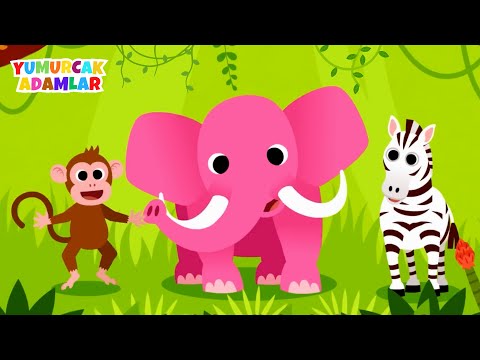 Fil Zebra ve Maymun Bebekler İçin Orman Hayvanları - En Popüler Çocuk Şarkıları - Çizgi Film
