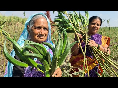 कुडकुडणाऱ्या थंडीतील उबदार गावरान जेवण तिळाची भाकरी भेंडीच्या बियांचा रस्सा  भोपळ्याच्या पानाची भाजी