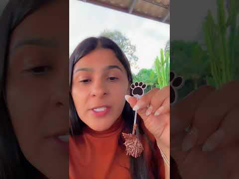 28 de maio de 2025