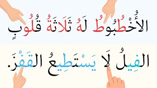 تعليم قراءة  كلمات وجمل سهلة وتهجي الحروف  - درس القراءة 10 جمل عن حقائق عن الحيوان
