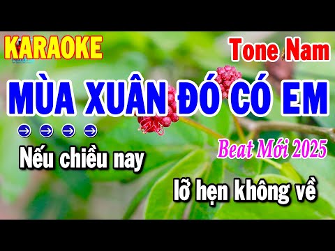 Karaoke Mùa Xuân Đó Có Em Tone Nam Nhạc Xuân Phối Chuẩn 2025 | Thanh Hải