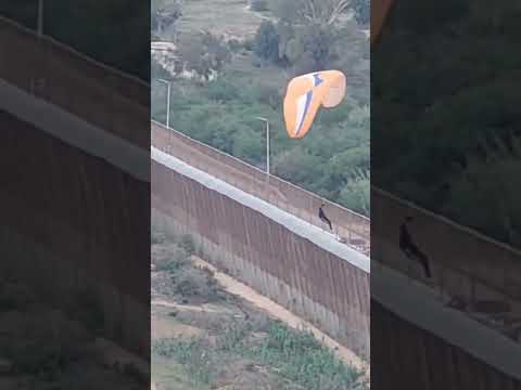 ? على الطريقة "الطوفانية".. مهاجر ينجح في عبور حدود مليلية شمال المغرب.