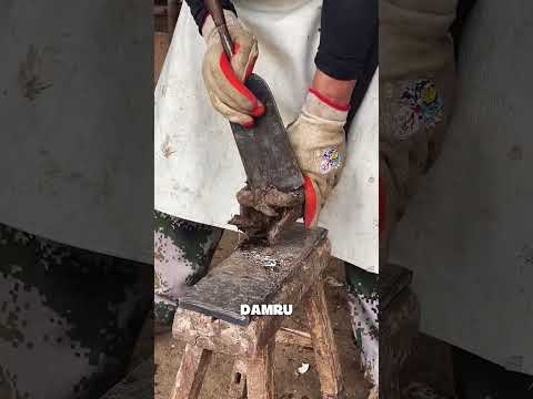 🐎 Ayah Mengubah Kuda Menjadi Pelari Cepat! ✂️💨