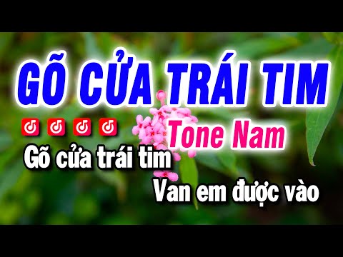 Karaoke Gõ Cửa Trái Tim – Nhạc Sống Tone Nam – Beat Bảo Hưng