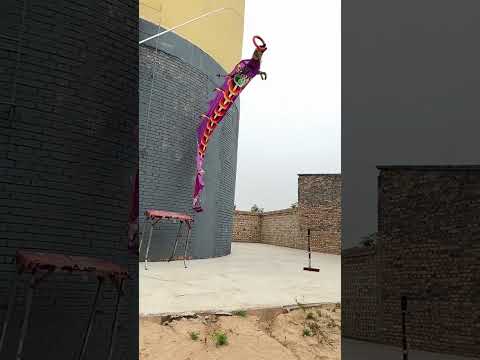 dog power pack jump from wall 🧱 for jumping style #viralvideo #trending #dogshorts #petshub #animals