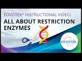 Restriction Enzymes in Biotechnology