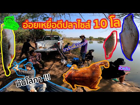 เซียนหรั่ง l วิถีชีวิตแบบมะลายยายอยาก l  ตอน ออยเหยื่อตีปลาไซส์ 10 โล