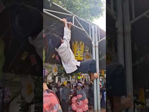 Jerah Yang Legal Hanya Di Madura 🤣