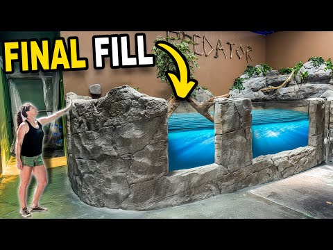 Filling Up My Giant 5,000G Predator Fish Tank!