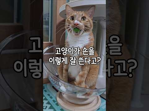 곧 나랑 대화도 할 것 같음ㅋ #storts
