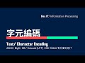 Understanding Character Encoding