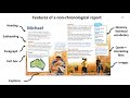 Understanding Reports and Insights