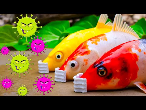 Blue Shark vs Koi Fish & Eels | Colorful Mud Battle Stop Motion ASMR