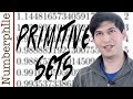 Understanding Primitive Sets and Erdős Conjecture