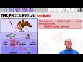 Ecosystem Dynamics and Food Chains