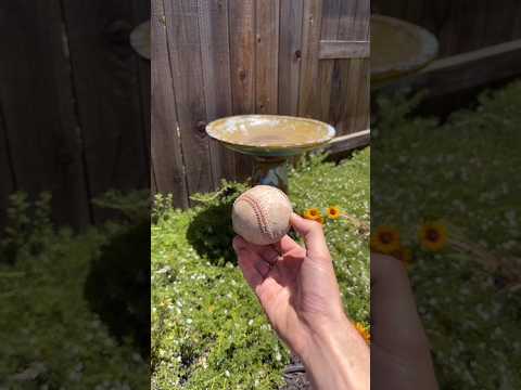 I think something is wrong with my new phone camera. Anyone else having this same issue?