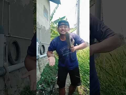 Kumpulan Video lucu Shorts Boni Saputra Terbaru Kocak Dan gokil Part 25