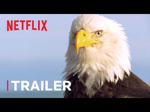 Absurd Planet Trailer 🌎 New Series Trailer | Netflix Futures