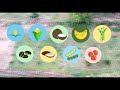 Project Sarai: Agricultural Technology Insights