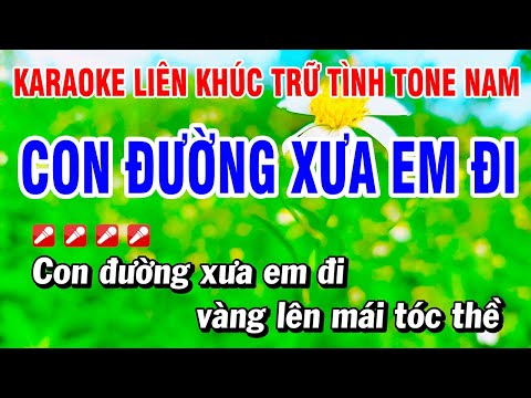 Karaoke Liên Khúc Trữ Tình Nhạc Sống Tone Nam Dễ Hát – Con Đường Xưa Em Đi | Hoài Phong Organ