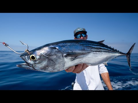 GIANT Baits for MONSTER Mexican Fish... Catch Clean Cook