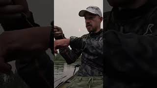 Joe Catches a Walleye While Canoeing! #shortsfeed