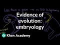Homologous Features and Embryonic Development