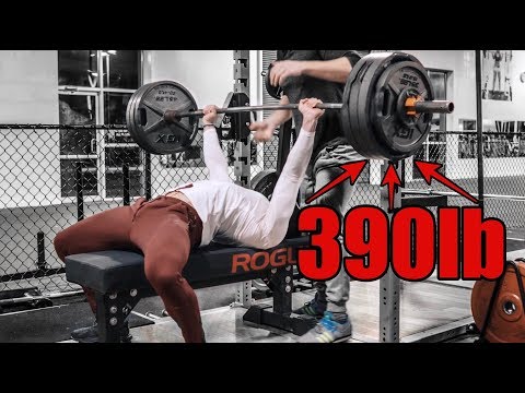 390lb Bench Press & 455lb Squat | Important Updates