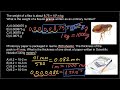 Scientific Notation and Unit Conversions