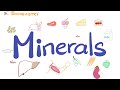 Minerals and Their Functions in the Body