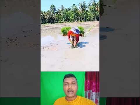 talent farmer #duet #comedymove #comedyfilms #funny #interestingclips #comedymovies