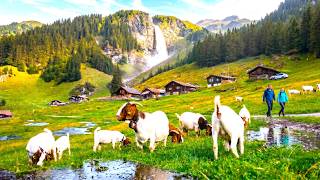 Most beautiful hidden valley in Switzerland 🇨🇭 Unterachächen Valley Hidden Swiss Paradise