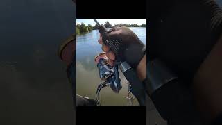 jenahak saiz cun.. rakit selalang.. #jenahak #fishinglife #angler #hobimancing