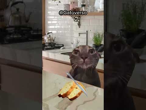 AGORA CÊ VAI COMER 😡
