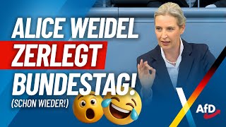 Schon wieder: Alice Weidel zerlegt Bundestag!